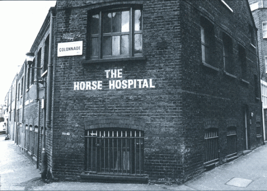 Horse Hospital Cinema