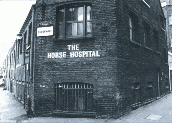 Horse Hospital Cinema