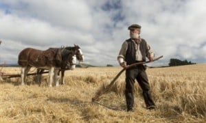 SUNSET-SONG-premieres-images-du-nouveau-Terence-Davies-avec-Agyness-Deyn-47013