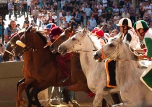 PALIO_Guillaume_Bonn_1 copy